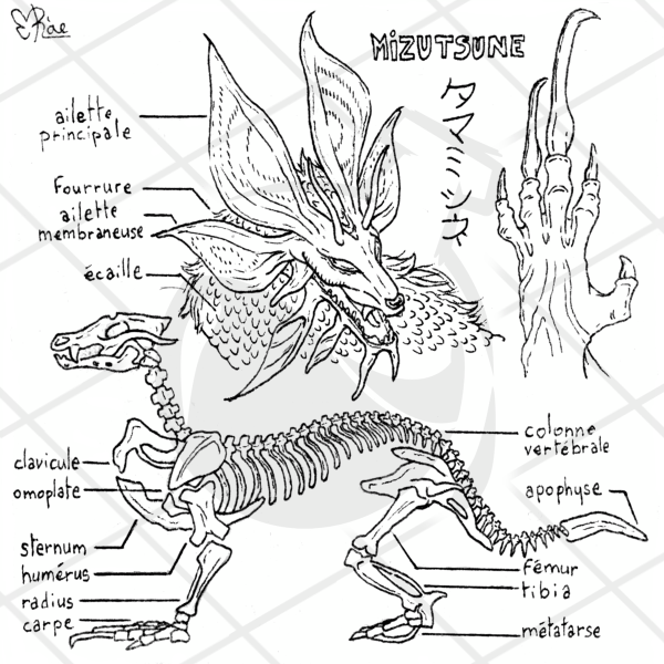 Affiche 15x15 Jeu vidéo | Mizutsune